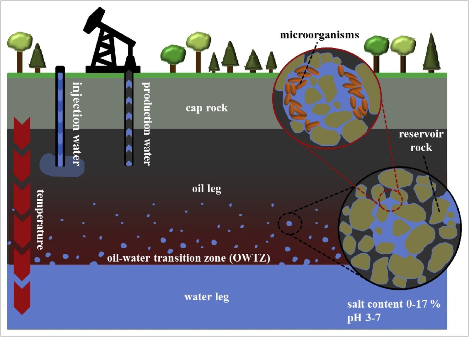 Reservoir Engineering: Unlocking the Hidden Potential of Oil and Gas Reservoirs